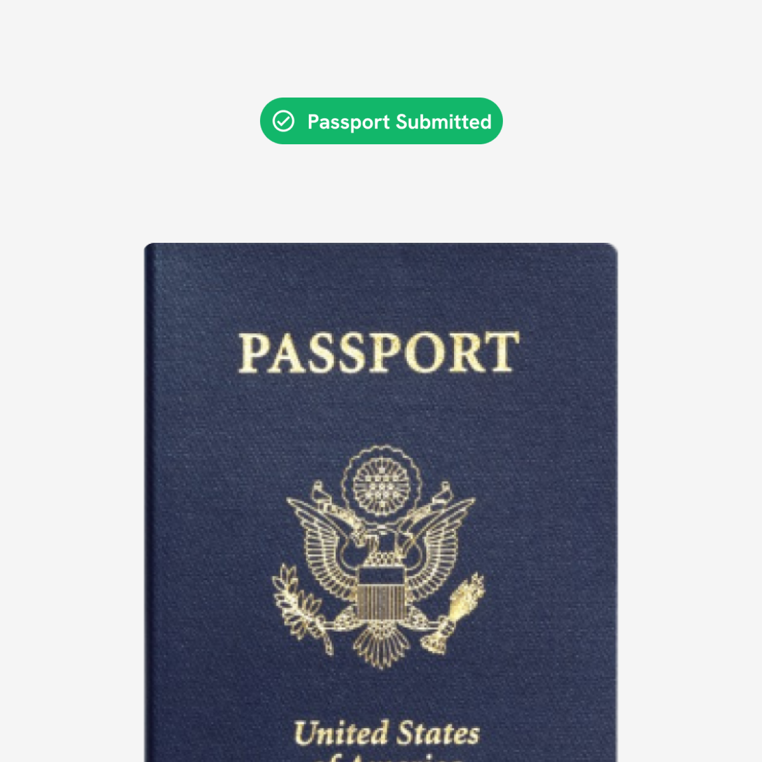 Close-up detail of the front cover of a blue United States of America passport with gold lettering.